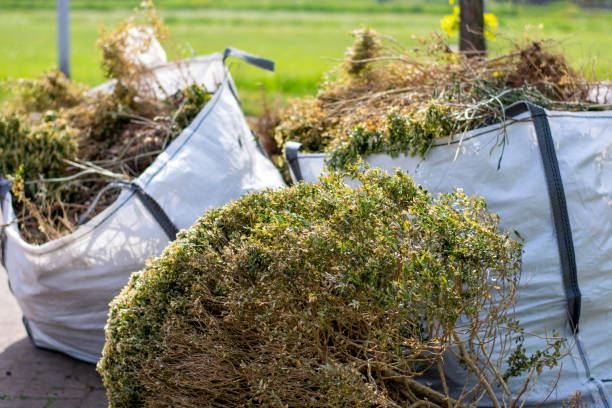 Best Moving and Downsizing Cleanouts  in East Dundee, IL